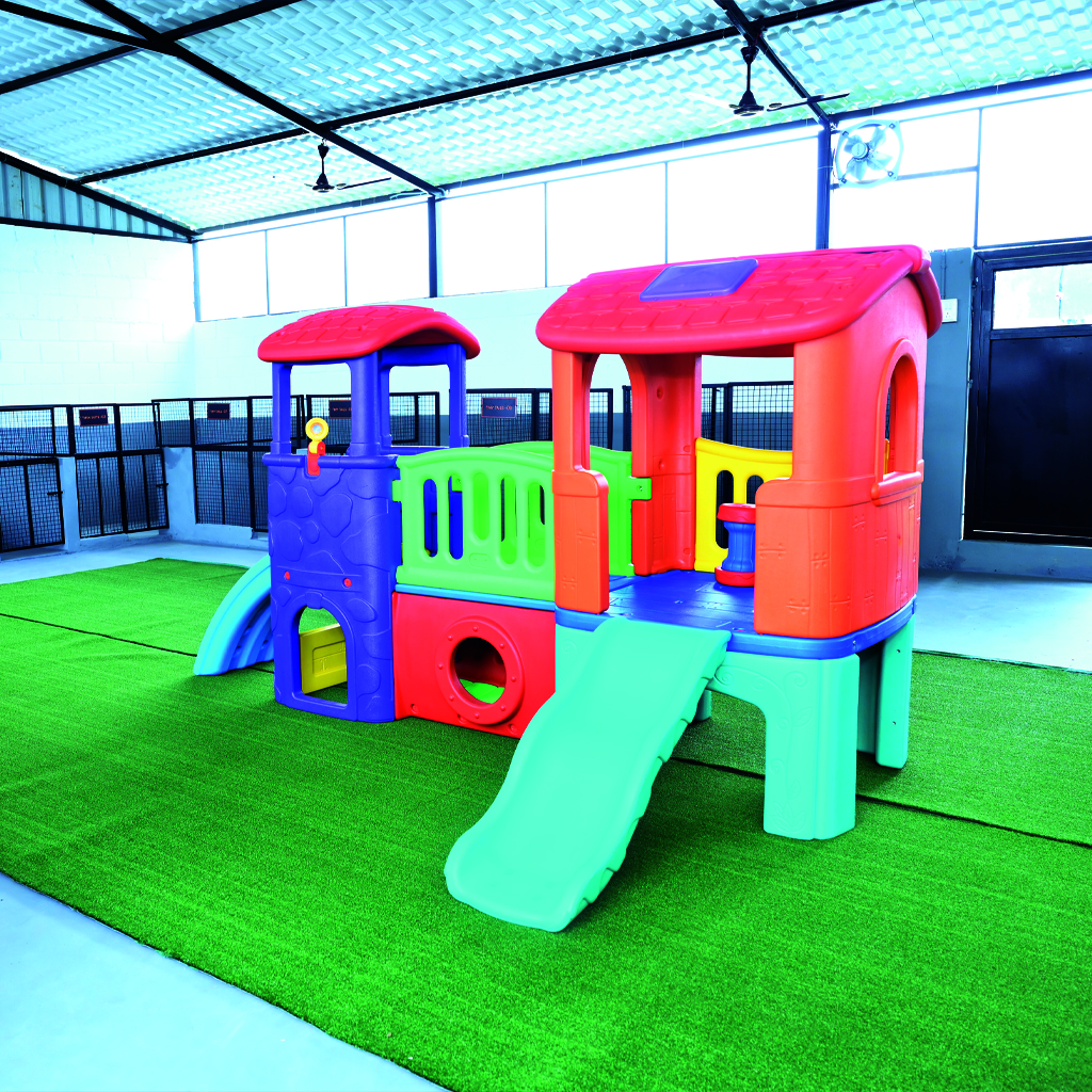 dog play area near me
