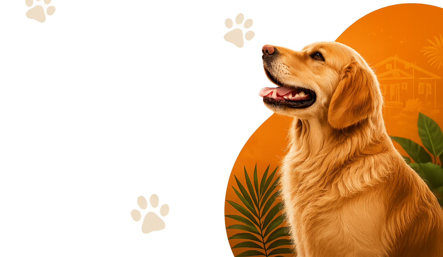 luxury pet resort